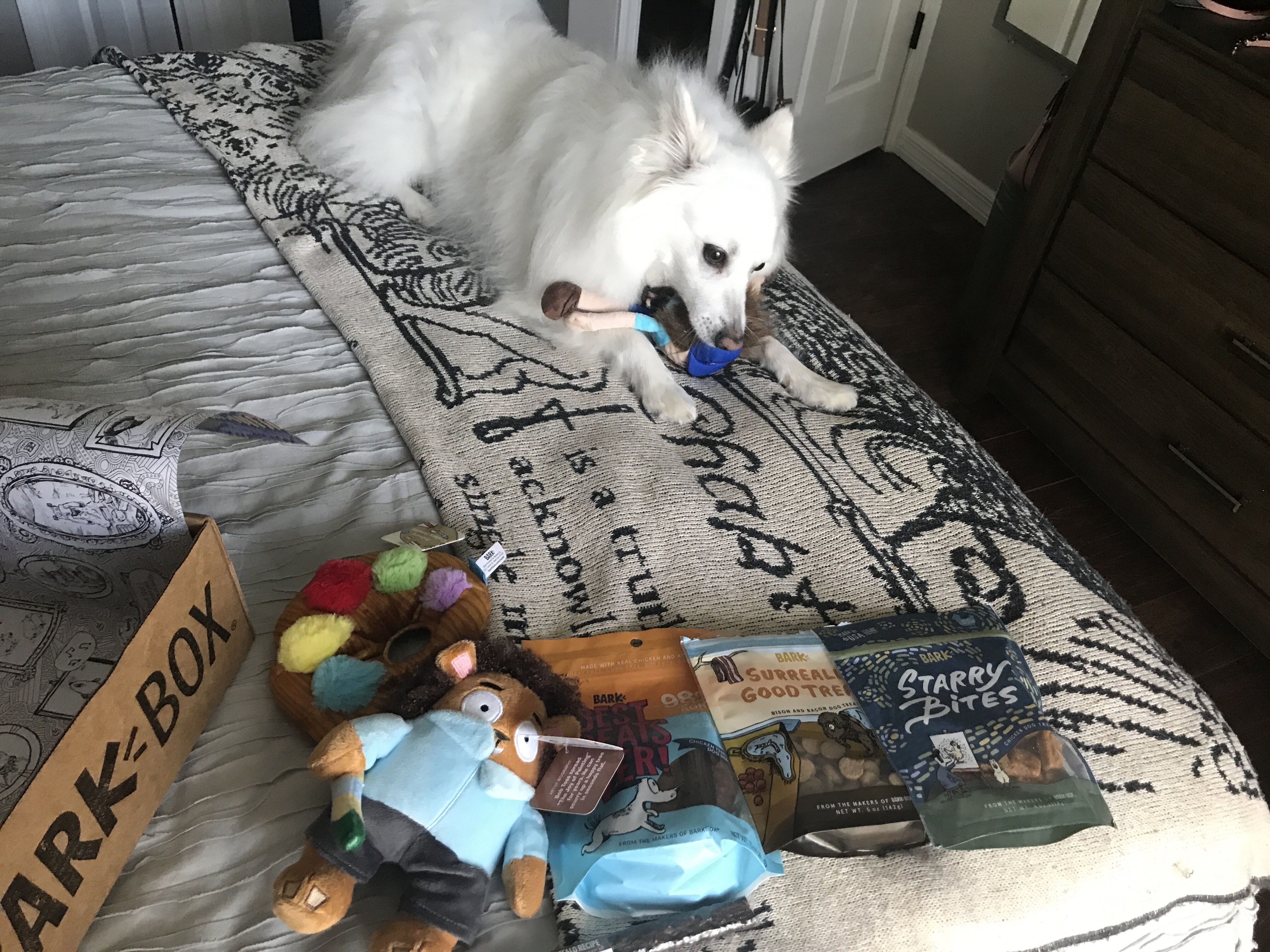 A BarkBox Review - The Cheapest Way to Entertain Your Dog