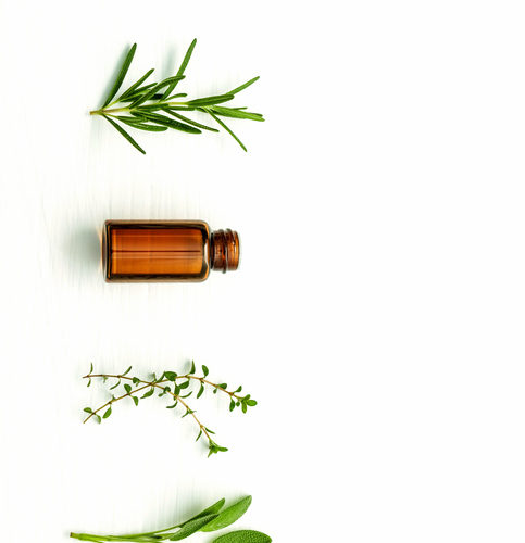 10 Ways to Use Essential Oils for Cleaning